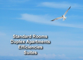 Long Beach Island Motel Rentals