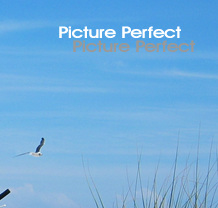 Long Beach Island Motel Rentals Suites Apartments