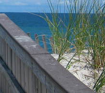 Long Beach Island Motel Rentals Suites Apartments